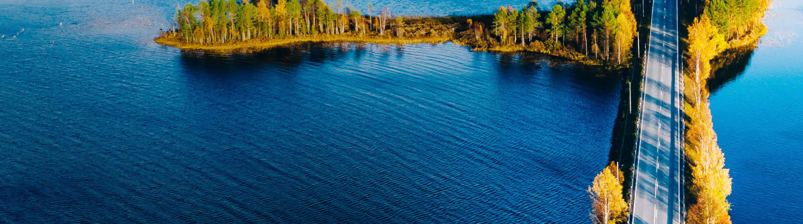 Interim Executives Kirby Partners